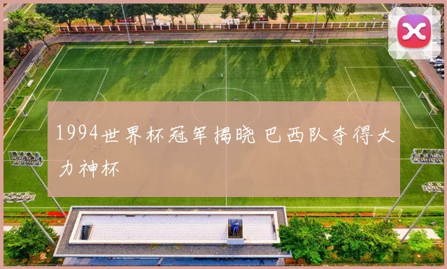 1994世界杯冠军揭晓 巴西队夺得大力神杯